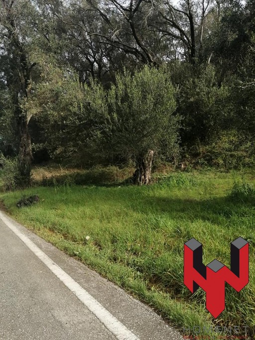 Οικόπεδο 7.000 τ.μ. για πώληση