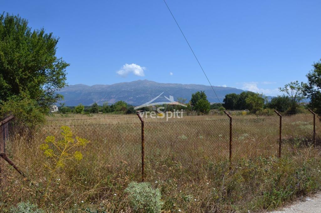 Αγροτεμάχια 7.438 τ.μ. πρός ενοικίαση, Ν. Ιωαννίνων, Ιωάννινα