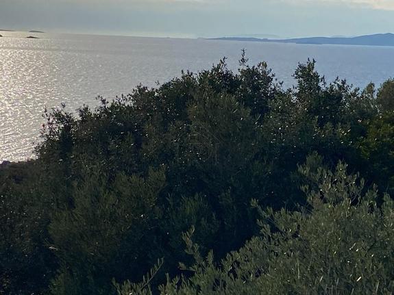 Οικόπεδο 680 τ.μ. για πώληση, Αθήνα - Ανατολικά Προάστια, Κορωπί