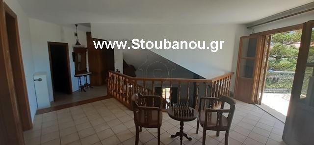 Βίλλα 300 τ.μ. πρός ενοικίαση, Ν. Ηλείας, Αμαλιάδα