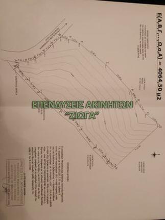 Αγροτεμάχια 4.065 τ.μ. για πώληση, Σποράδες, Σκόπελος