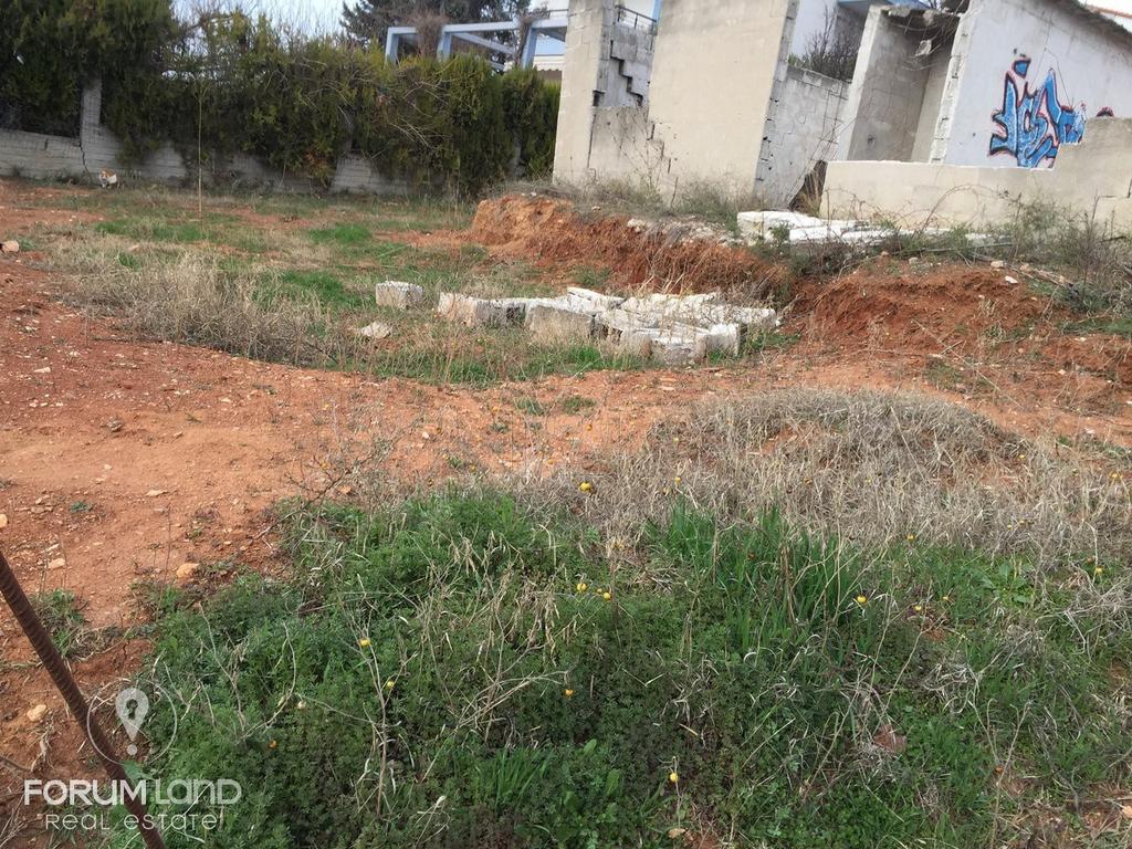 Οικόπεδο 1.000 τ.μ. προς πώληση, Οικισμός Μακεδονία