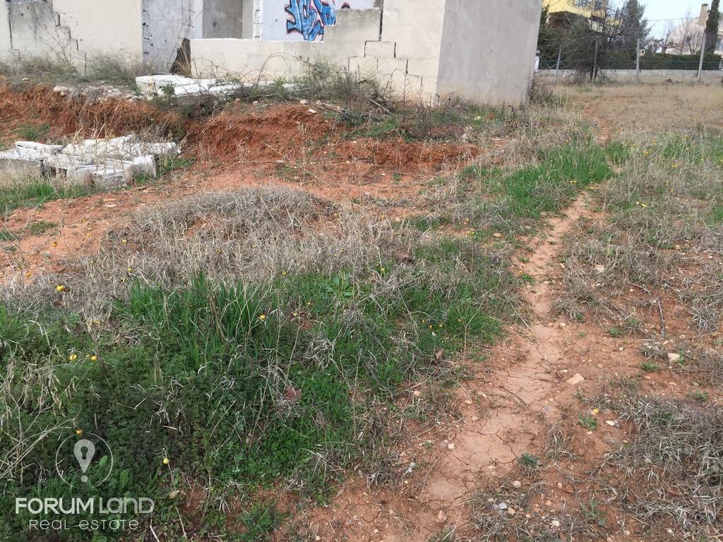 Οικόπεδο 1.000 τ.μ. προς πώληση, Οικισμός Μακεδονία