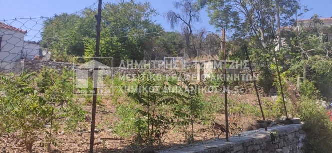 Οικόπεδο 713τ.μ. για πώληση-Τρικέρι » Κέντρο