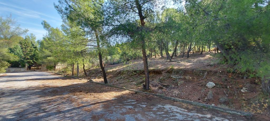 Οικόπεδο 1.115 τ.μ. προς πώληση, Θεολόγος Μαλεσίνας
