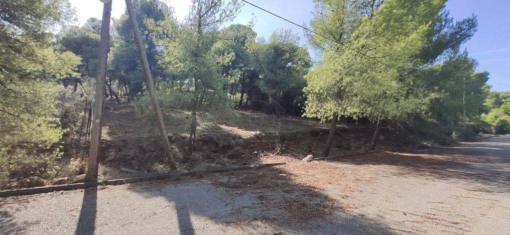 Οικόπεδο 1.115 τ.μ. προς πώληση, Θεολόγος Μαλεσίνας