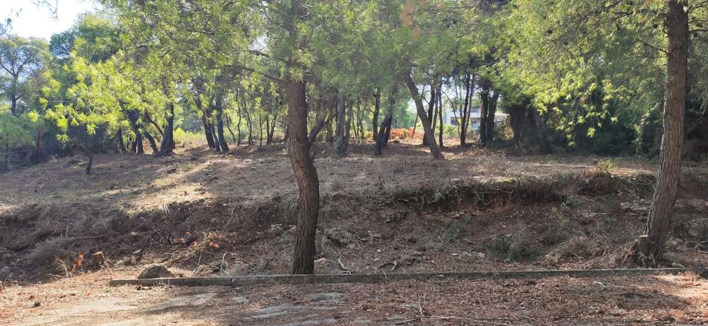 Οικόπεδο 1.115 τ.μ. προς πώληση, Θεολόγος Μαλεσίνας