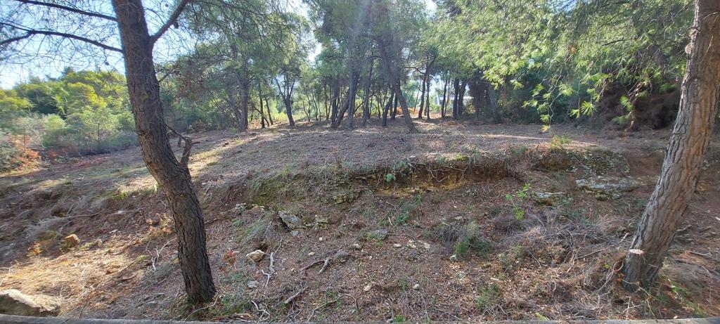 Οικόπεδο 1.115 τ.μ. προς πώληση, Θεολόγος Μαλεσίνας