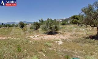 Οικόπεδο 225 τ.μ. για πώληση