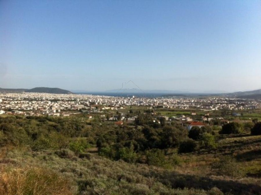 Land plot 14.450sqm for sale-Nea Ionia Volou » Melissatika