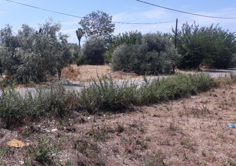 Αγροτεμάχια 2.400τ.μ. για πώληση-Αίγιο » Τέμενη