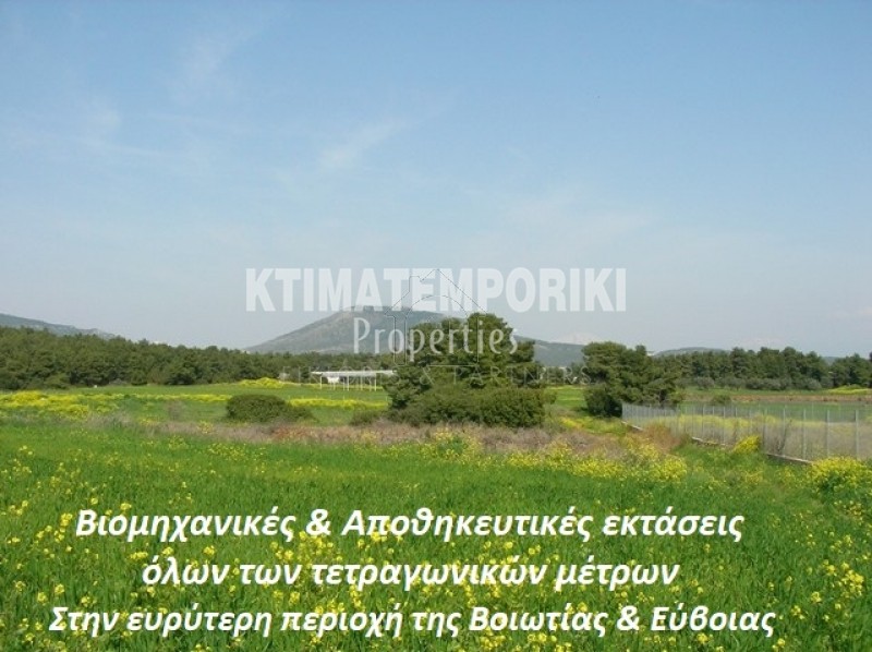 Αγροτεμάχια 5.000 τ.μ. για πώληση