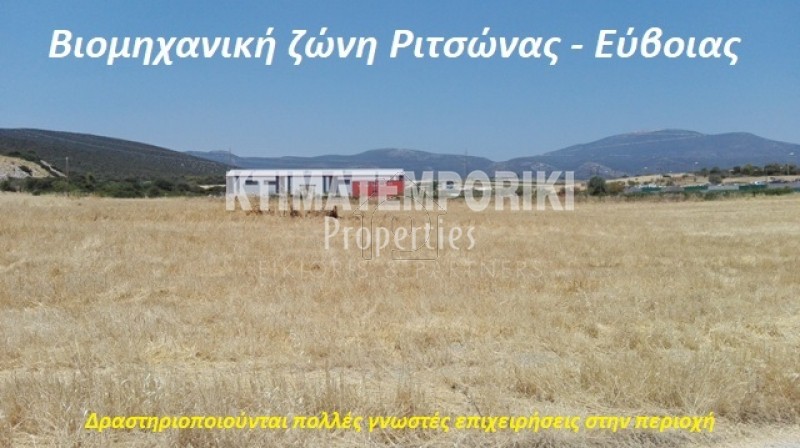 Parcel 8.000 sqm for sale, Evia, Avlida
