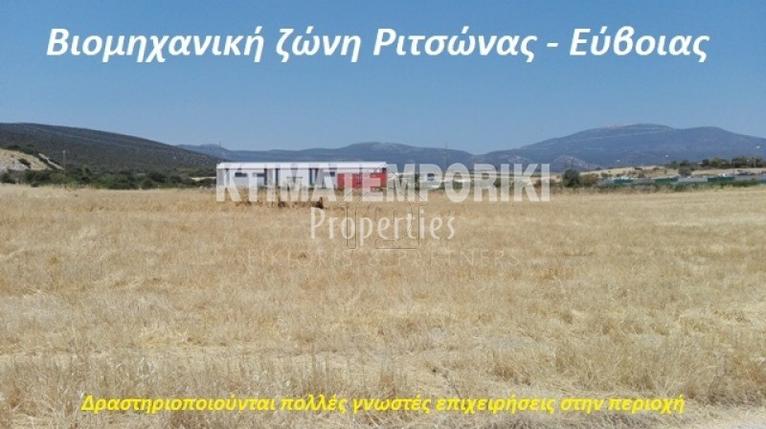 Αγροτεμάχια 8.000 τ.μ. για πώληση, Εύβοια, Αυλίδα