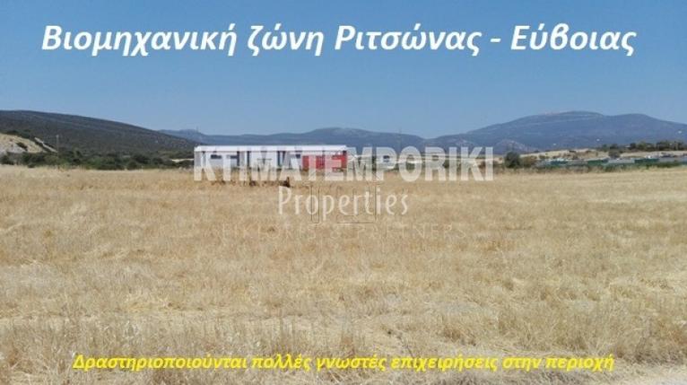 Parcel 8.000 sqm for sale, Evia, Avlida