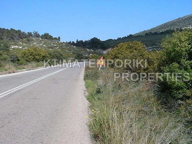 Αγροτεμάχια 20.000 τ.μ. για πώληση
