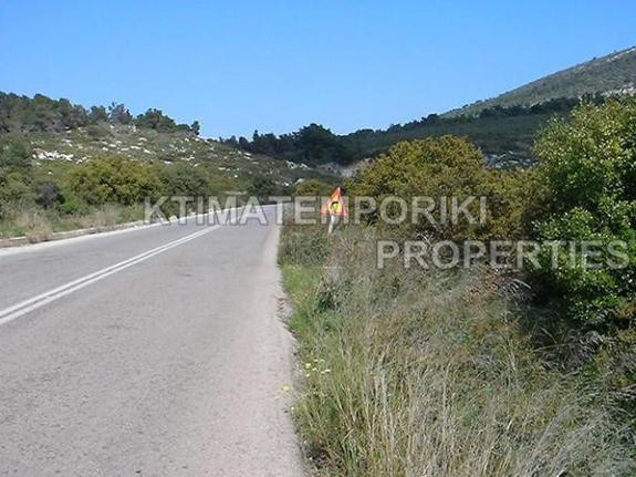 Parcel 20.000 sqm for sale, Evia, Avlida