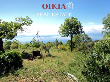 Land plot 6.000sqm for sale-Milies » Pinakates