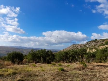 Land plot 8.200sqm for sale-Siteia » Stavromenos