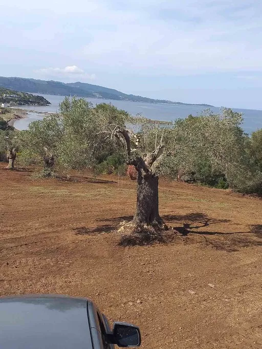 Parcel 8.000 sqm for sale, Chalkidiki, Pallini