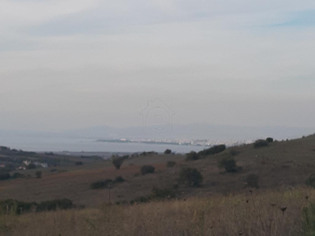 Αγροτεμάχια 6.750 τ.μ. προς πώληση, Καρδιά Θέρμης