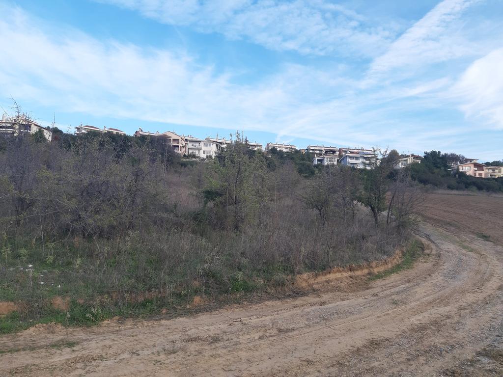 Αγροτεμάχια 6.750 τ.μ. προς πώληση, Καρδιά Θέρμης