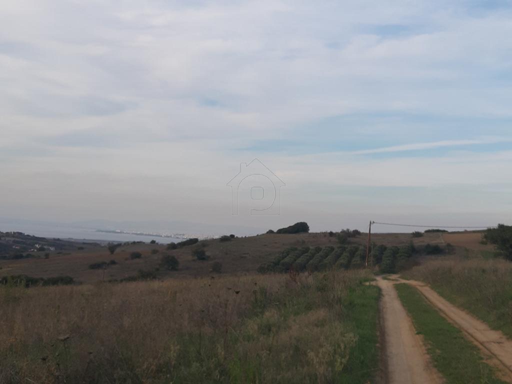 Αγροτεμάχια 6.750 τ.μ. προς πώληση, Καρδιά Θέρμης