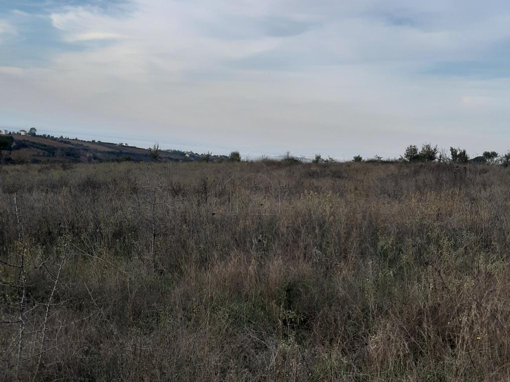 Αγροτεμάχια 6.750 τ.μ. προς πώληση, Καρδιά Θέρμης