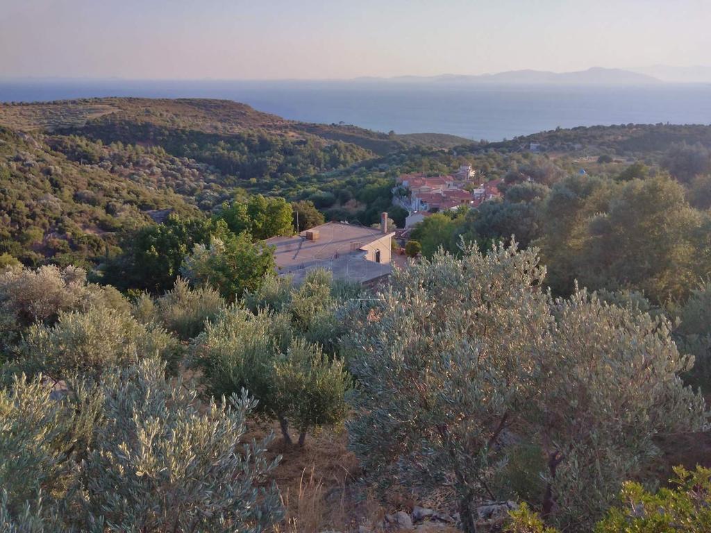 Αγροτεμάχια 1.000 τ.μ. για πώληση, Ν. Σάμου, Σάμος