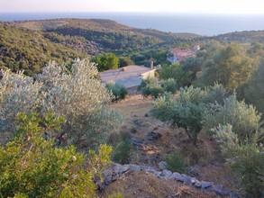 Αγροτεμάχια 1.000 τ.μ. για πώληση, Ν. Σάμου, Σάμος-thumb-3