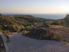 Αγροτεμάχια 1.000 τ.μ. για πώληση, Ν. Σάμου, Σάμος-thumb-4