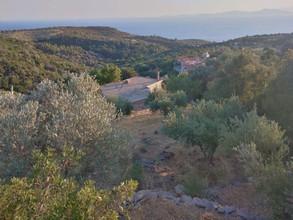 Αγροτεμάχια 1.000 τ.μ. για πώληση, Ν. Σάμου, Σάμος-thumb-5