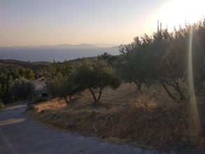 Αγροτεμάχια 1.000 τ.μ. για πώληση, Ν. Σάμου, Σάμος-thumb-7