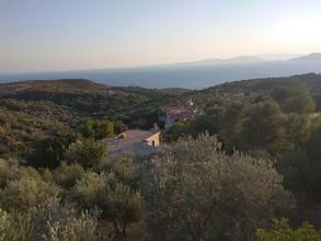 Αγροτεμάχια 1.000 τ.μ. για πώληση, Ν. Σάμου, Σάμος-thumb-11
