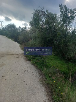 Land plot 1.500sqm for sale-Vamos » Gavalochori