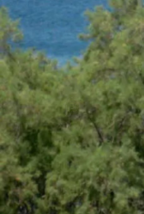 Οικόπεδο 2.500 τ.μ. για πώληση
