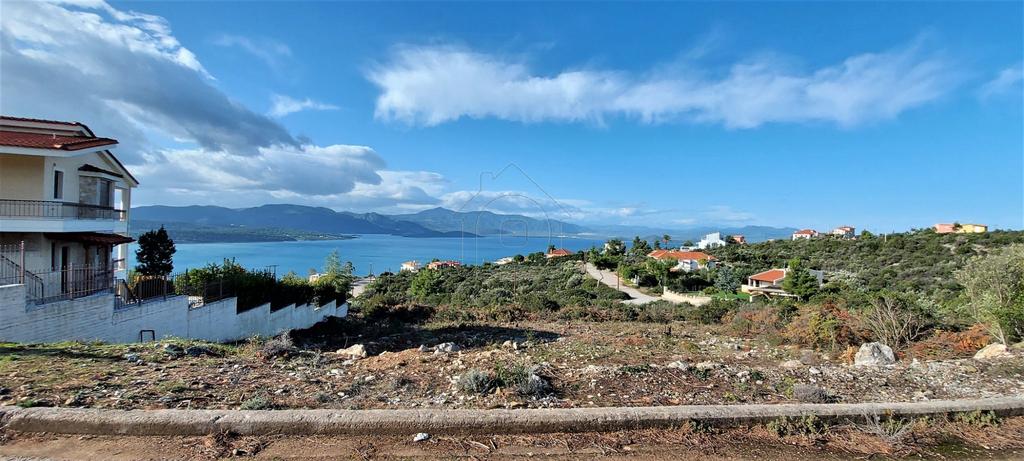 Οικόπεδο 1.013 τ.μ. προς πώληση, Θεολόγος Μαλεσίνας