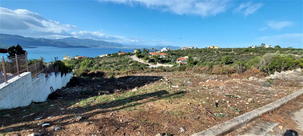 Οικόπεδο 1.013 τ.μ. προς πώληση, Θεολόγος Μαλεσίνας