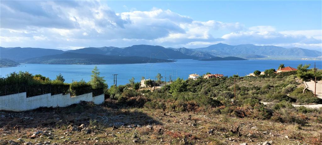 Οικόπεδο 1.013 τ.μ. προς πώληση, Θεολόγος Μαλεσίνας