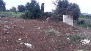 Αγροτεμάχια 1.162 τ.μ. για πώληση, Μεσσηνία, Πεταλίδι-thumb-1
