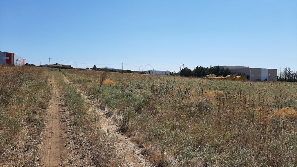 Αγροτεμάχια 16.296 τ.μ. προς πώληση, Λάκκωμα Καλλικράτειας