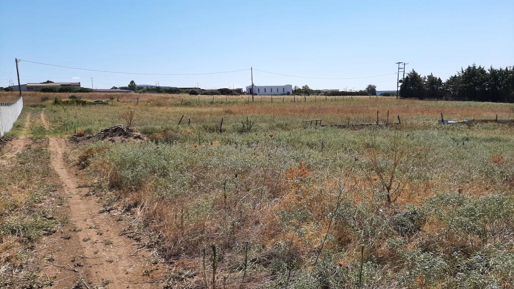 Αγροτεμάχια 16.296 τ.μ. προς πώληση, Λάκκωμα Καλλικράτειας
