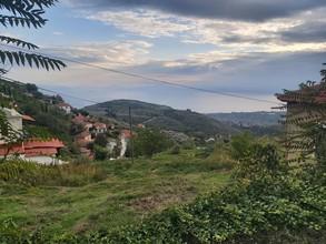 Μονοκατοικία 40 τ.μ. για πώληση, Μαγνησία, Αρτέμιδα-thumb-14