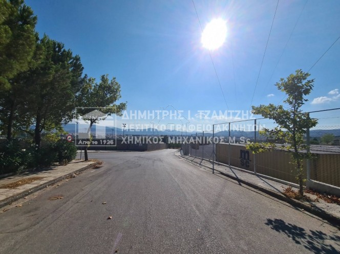 Land plot 10.000 sqm for sale, Magnesia, Volos