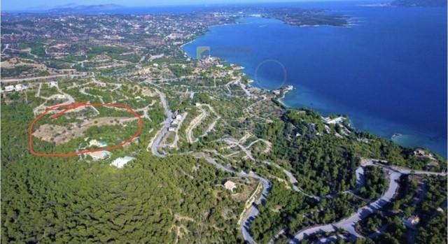 Αγροτεμάχια 4.000 τ.μ. προς πώληση, Οικισμός Δικηγόρων