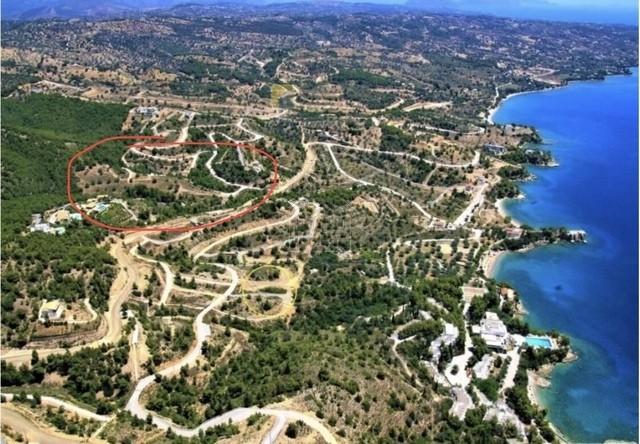 Αγροτεμάχια 4.000 τ.μ. προς πώληση, Οικισμός Δικηγόρων