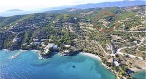 Αγροτεμάχια 4.000 τ.μ. για πώληση