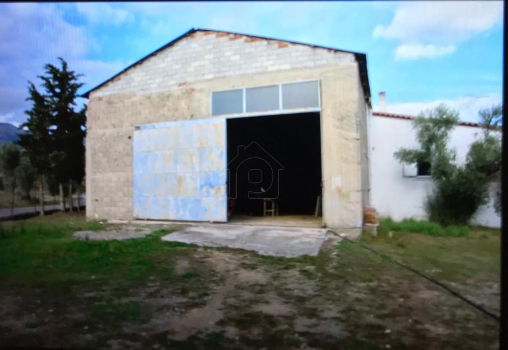 Αγροτεμάχια 8.000 τ.μ. προς πώληση, Καλλιθέα Αμαρύνθου
