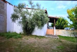 Αγροτεμάχια 8.000 τ.μ. για πώληση, Εύβοια, Αμάρυνθος-thumb-2