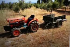 Αγροτεμάχια 8.000 τ.μ. για πώληση, Εύβοια, Αμάρυνθος-thumb-9